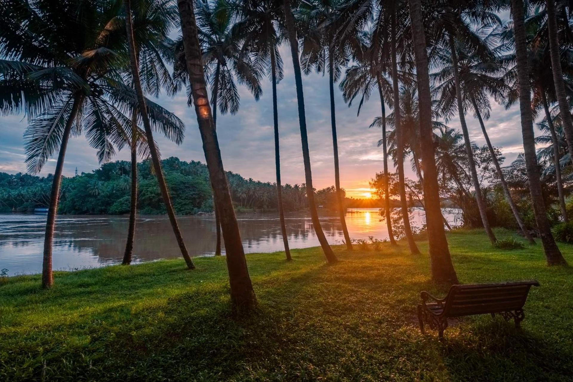 Stayvista At Toya Toya River View Calicut Eksteriør billede